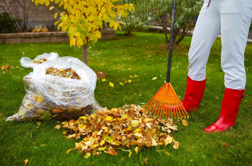 Getting your home ready for autumn in Auckland