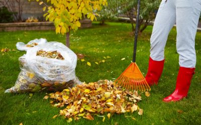 Getting your home ready for autumn in Auckland